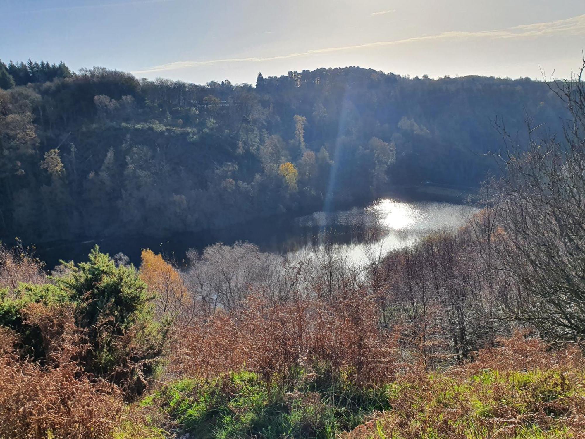Bed and Breakfast The Priory Scorton  Номер фото